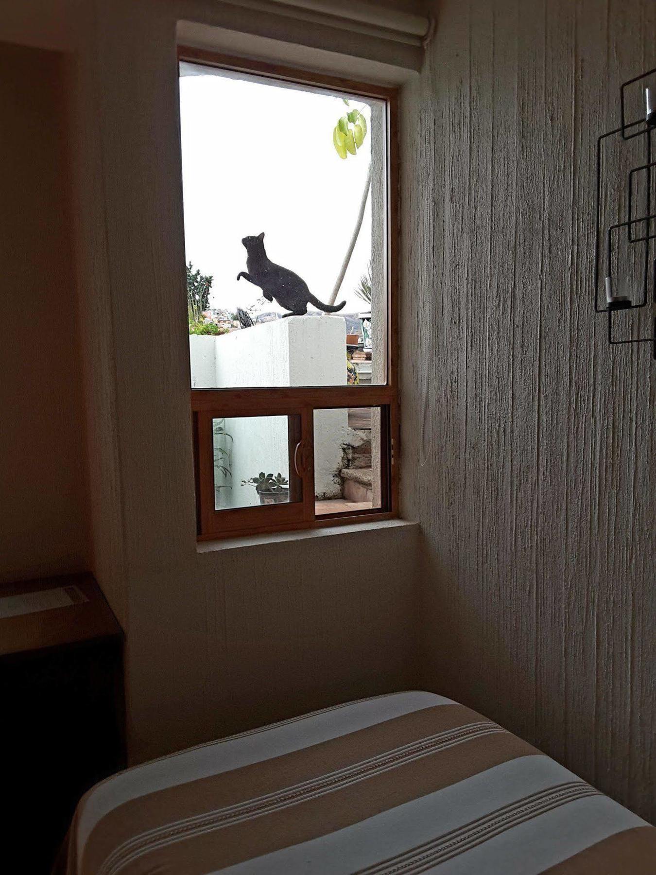 Hotelito "Casa Dionisio" Guanajuato Ngoại thất bức ảnh